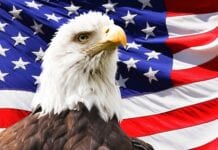 BIG SOLUTION: Shop with Patriots and Ditch Big Box Stores Now!